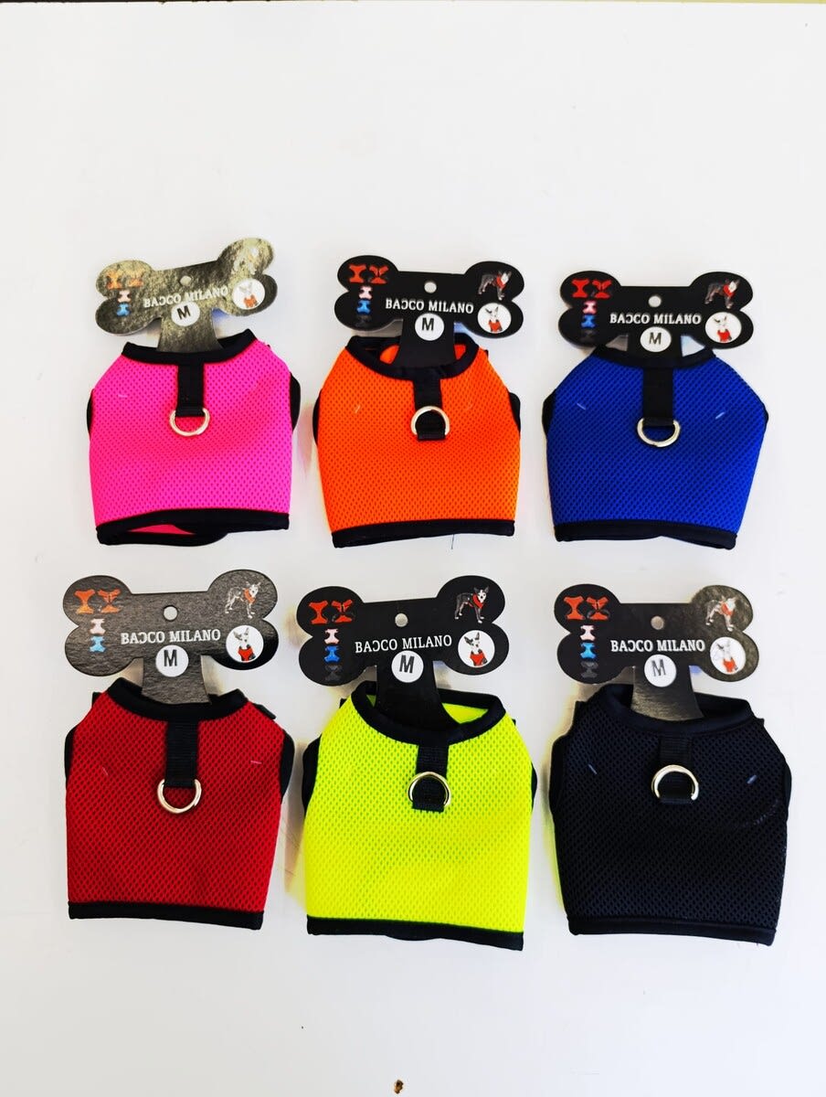  - BACCO MİLANO KEDİ GÖĞÜS TASMA M