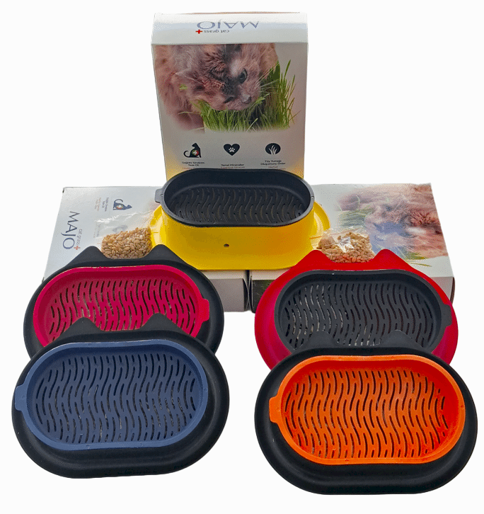  - MAJO PLASTİİK KEDİ KULAKLI KEDİ ÇİMİ VE MAMA KABI (YEDEKLİ)