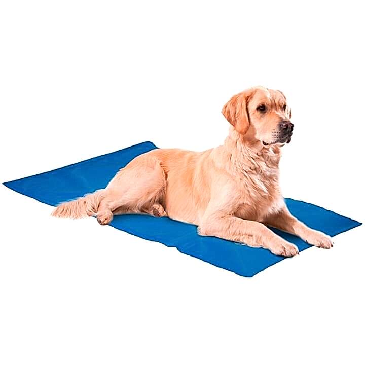  - NUNBELL KÖPEK SOĞUTUCU YATAK 4XL 75*100CM