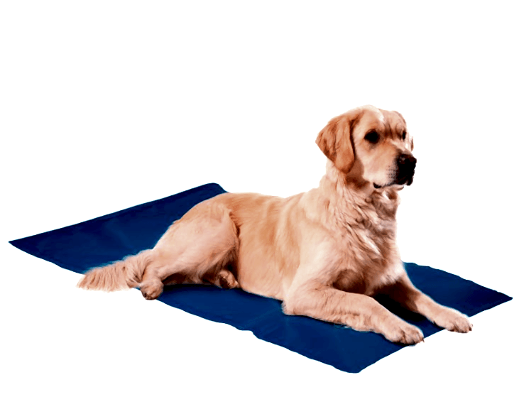  - NUNBELL KÖPEK SOĞUTUCU YATAK XXL 50*90CM