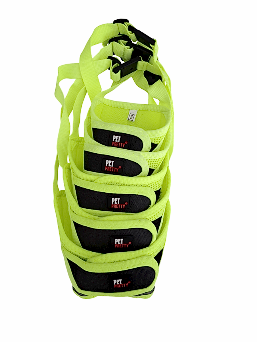 PETPRETTY AĞIZLIK YEŞİL 5'Lİ SET